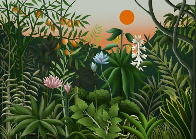 Ducha selva