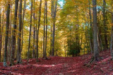Panorámica Montseny