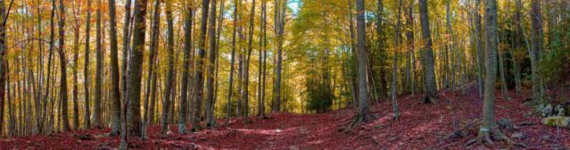 Panorámica Montseny