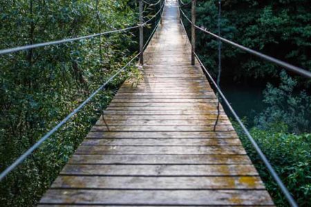 Fotografía de un puente colgante en el bosque. Ideal para decorar cualquier espacio, sobre todo si se requiere profundidad.
