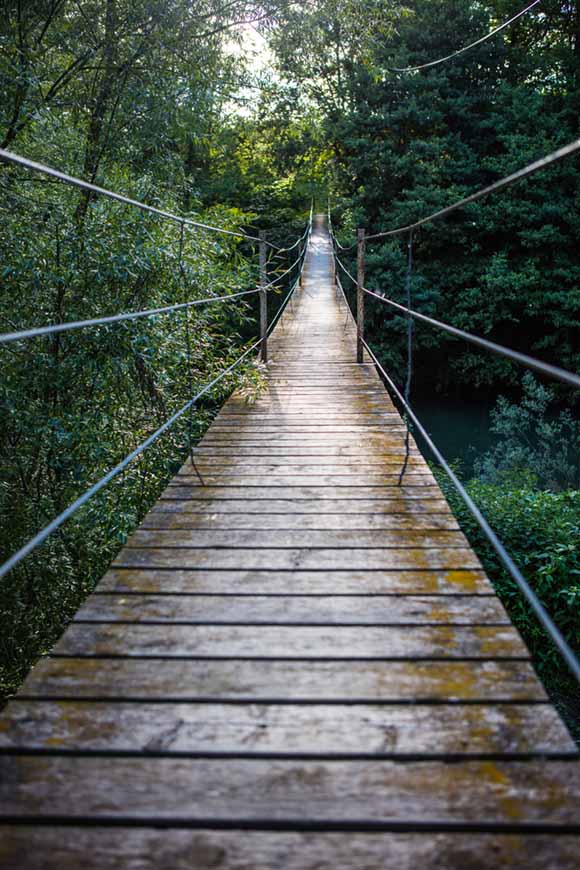 Fotografía de un puente colgante en el bosque. Ideal para decorar cualquier espacio, sobre todo si se requiere profundidad.