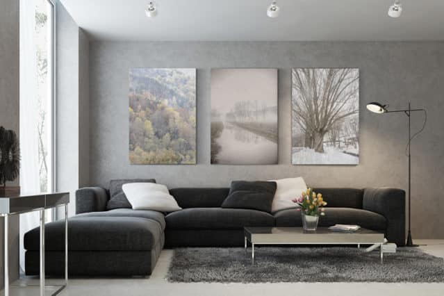 Tres cuadros con fotos artísticas de naturaleza en la pared de una sala de estar