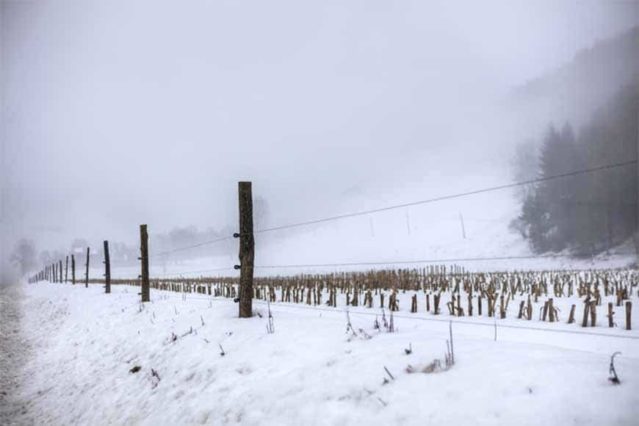 Nieve y profundidad