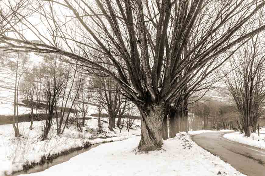 Explosión en invierno