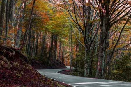 Curvas en el Montseny