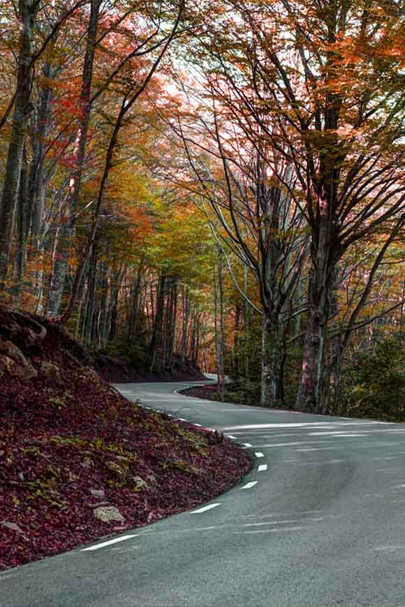 Carretera en Montseny