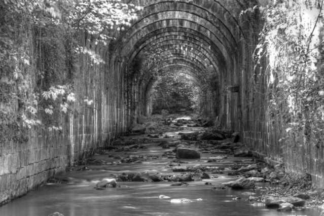 Blanco y negro sugerente