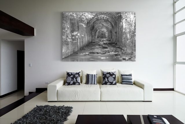 Blanco y negro sugerente - Imagen 2