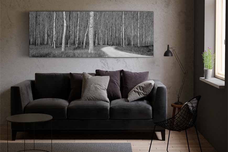 Fotografía en blanco y negro de un bosque adaptada al espacio que ocupará en la pared