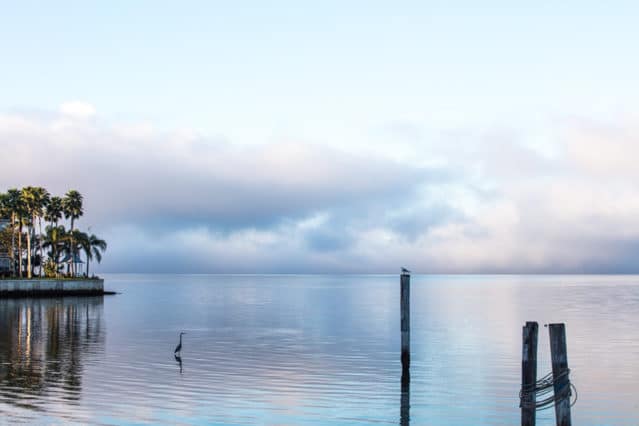 Fotografía muy relajante del inicio del día en la bahía de Tampa